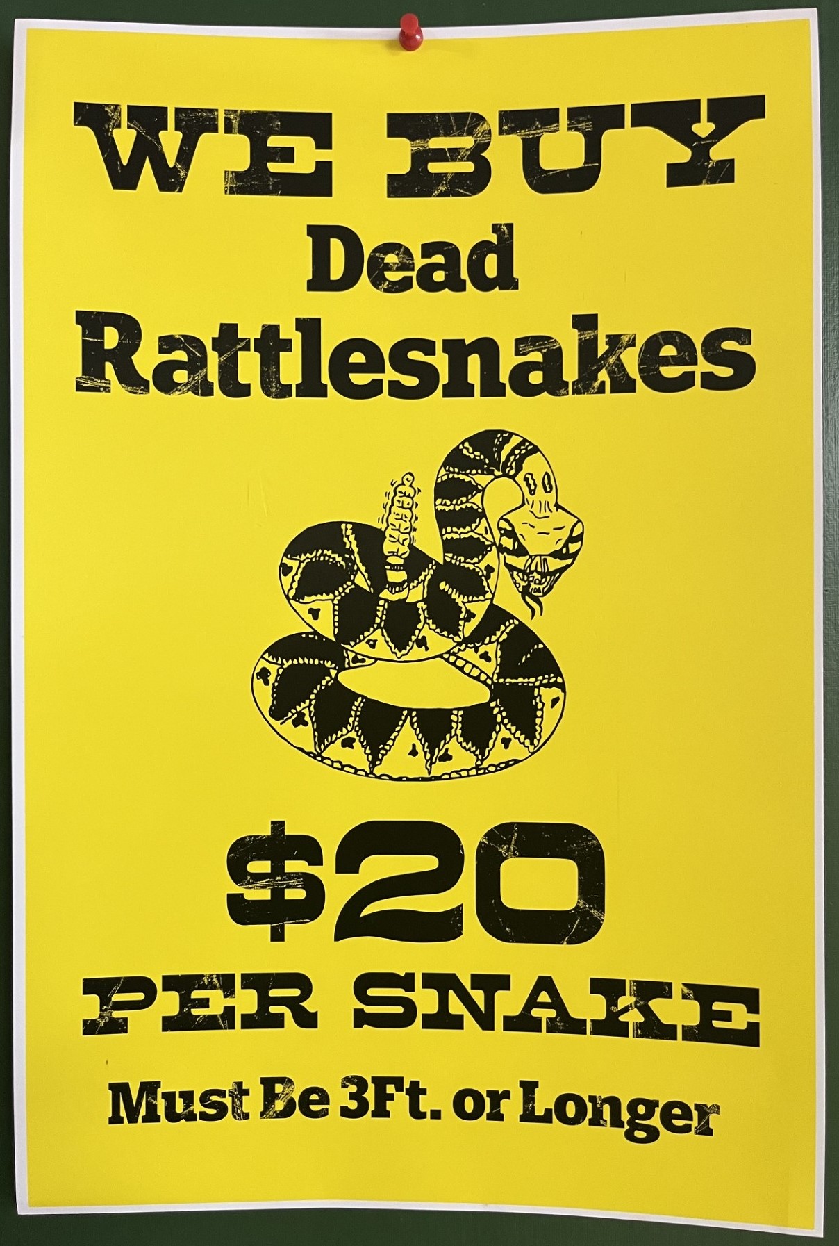 We Buy Dead Rattlesnakes wanted poster
