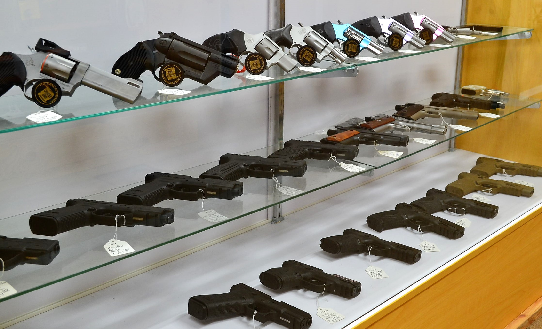 Handgun display case